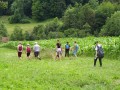walking to the stream
