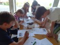 farm activities