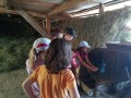 Working on the farm