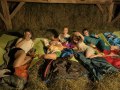 Champions sleeping in the hay barn