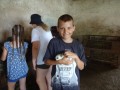 Petting rabbits