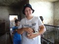Petting rabbits