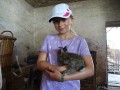 Petting rabbits