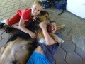 Dog love