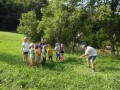 Cutting grass