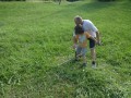 Cutting grass