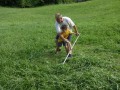 Cutting grass