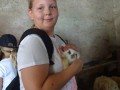 Rabbits