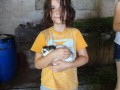 Rabbits