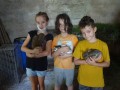 Rabbits