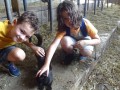 On the farm