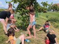 Listening to the music of the tree