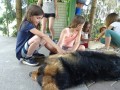 Girl and dog