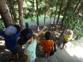 Feedeng deer