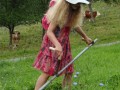 Master mower