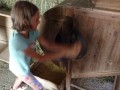 Blowing the barley