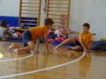 Cat play