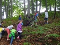 In the forest.