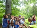 Getting to know the forest.