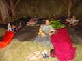 Let sleep on the hay :)