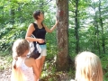 Learning tree parts.