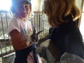 More bunnies
