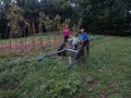 Farmer's helper.