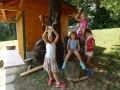 Antlers