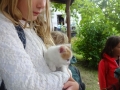 Little animal...