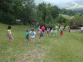 On our way to the farm ...