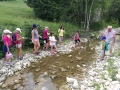 Stream.