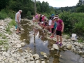 Stream.