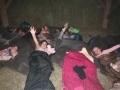 Sleeping on the hay.