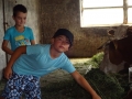 Tiano and Franci