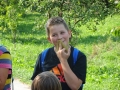 Brki