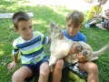 Franci and TIano